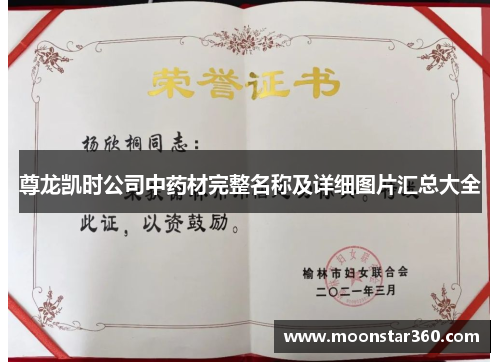 尊龙凯时公司中药材完整名称及详细图片汇总大全