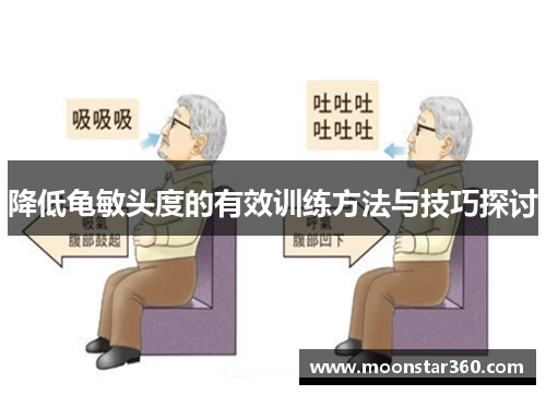 降低龟敏头度的有效训练方法与技巧探讨